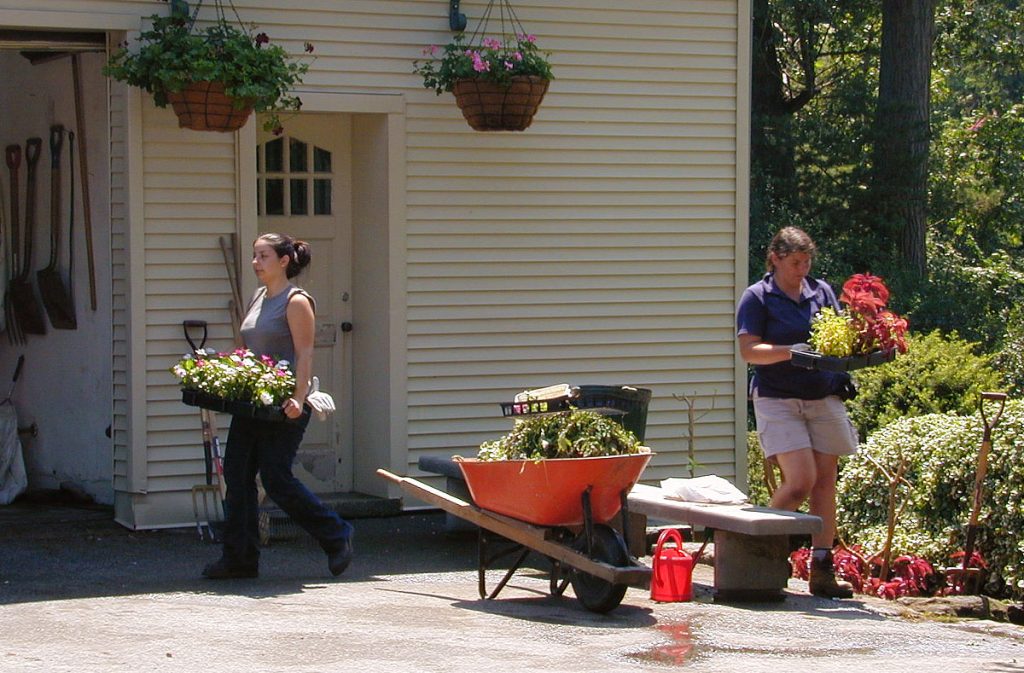 Two women working in a garden.