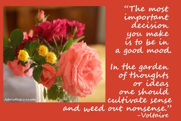 Roses and Voltaire Quote