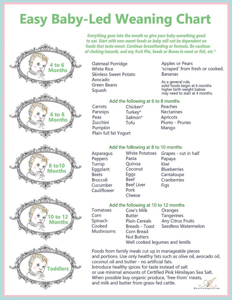 Baby’s First Foods, Baby-Led-Weaning Meets Previous Practices - Astoria