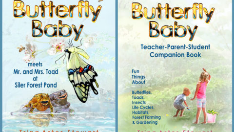 Butterfly Baby Book Series