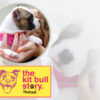 Kit Bull Story Podcast