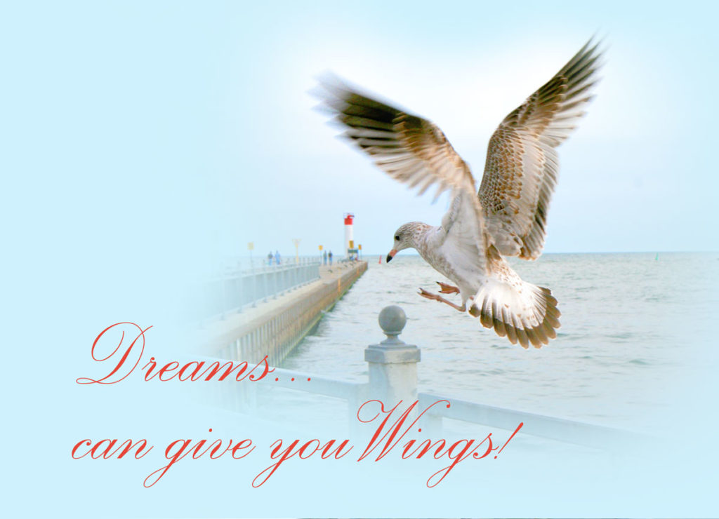 The photograph is of a seagull just about to land, the inscription is Dreams can give you Wings!