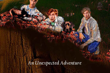 Erdogan Goes To Norway Book Cover