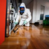 Professional pest control keeps your home and business bug free.