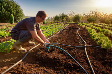 Setting up irrigation for a garden