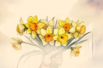 A gift of Daffodils