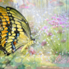 The feeling when the butterfly appeared.