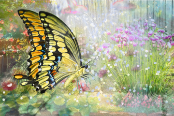 The feeling when the butterfly appeared.